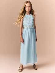 Pale Blue Embellished Occasion Dress (6-16yrs) - Image 1 of 9