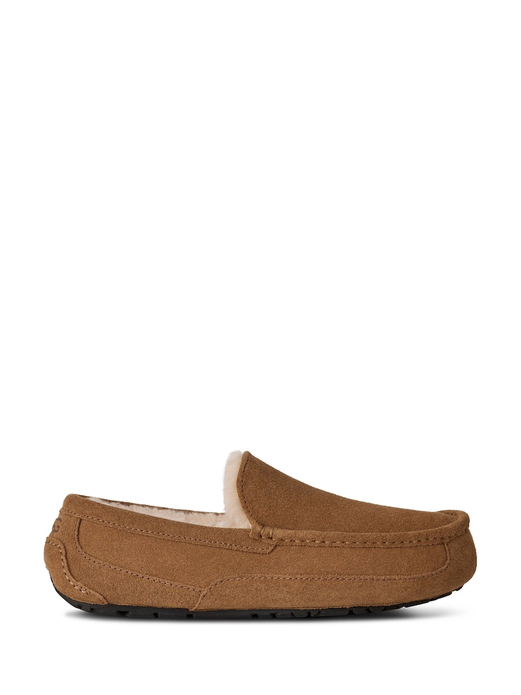 Pantuflas Ascot de UGG - Imagen 1 de 7 Pantuflas Ascot de UGG - Imagen 1 de 7