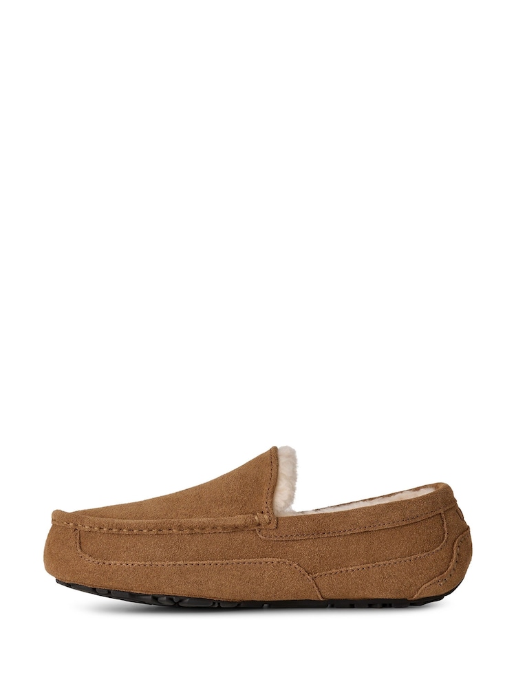 Pantuflas Ascot de UGG - Imagen 2 de 7 Pantuflas Ascot de UGG - Imagen 2 de 7