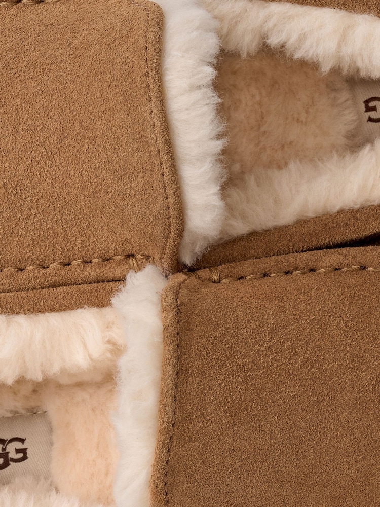 Pantuflas Ascot de UGG - Imagen 7 de 7 Pantuflas Ascot de UGG - Imagen 7 de 7