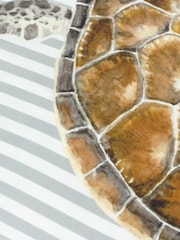 Evans Lichfield Multicolour Salcombe Turtle Piped Cushion - Image 5 of 6