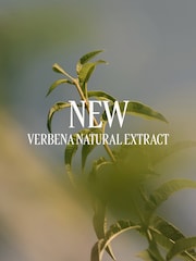 L'Occitane Verveine (Verbena) Shower Gel 250ml - Image 3 of 4