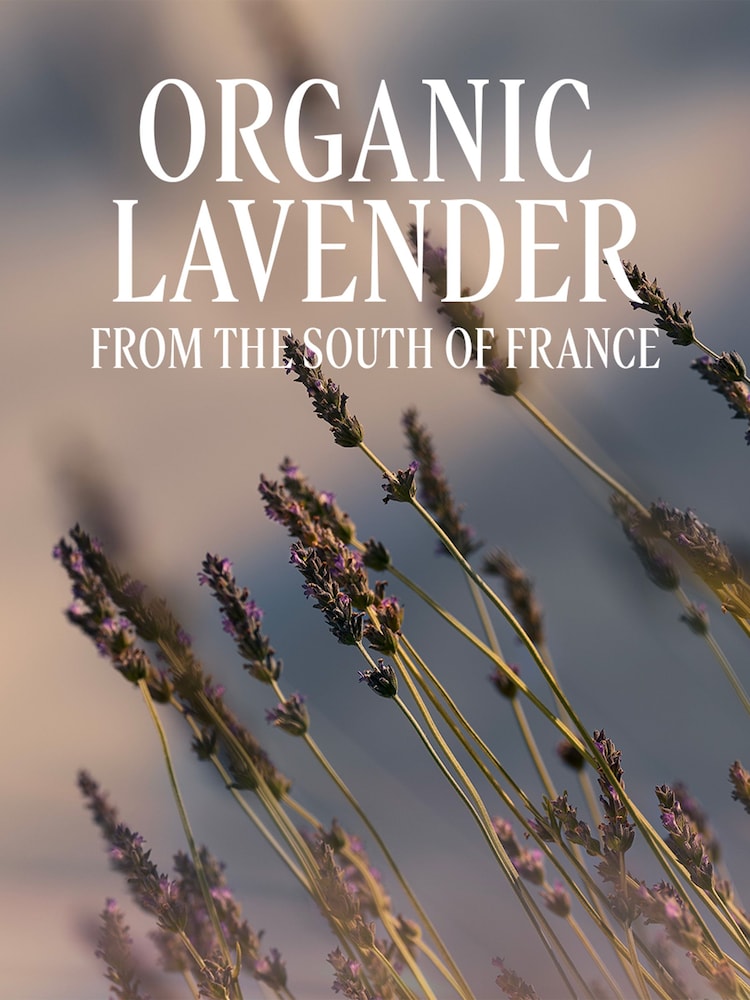 L'Occitane Lavande (Lavender) Body Lotion 250ml - Image 3 of 3 L'Occitane Lavande (Lavender) Body Lotion 250ml - Image 3 of 3