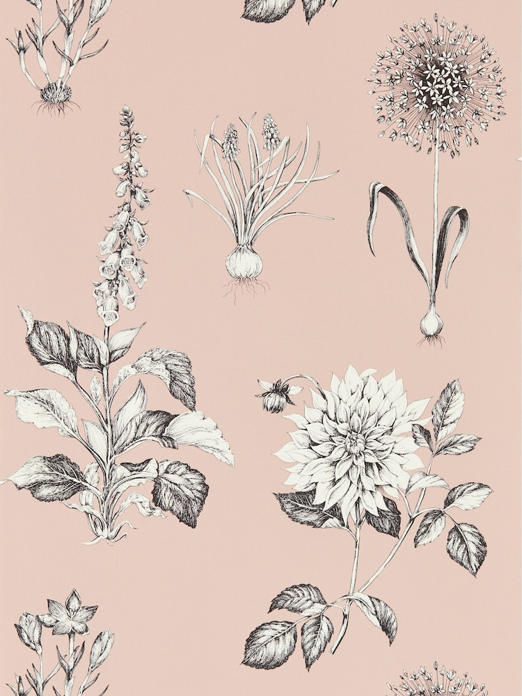 Clarke and Clarke Blush Roseraie 10.05M Wallpaper - Image 1 of 1