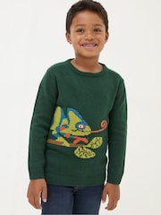 FatFace Green Chameleon Jumper - Image 1 of 5