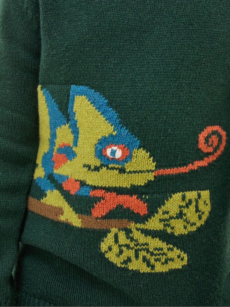 FatFace Green Chameleon Jumper - Image 5 of 5