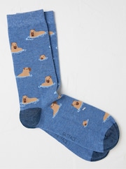 FatFace Blue Capybara Men's Socks 1 Pack - Image 1 of 2