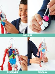 Discovery Mindblown 3D Human Anatomy Biology Model 28 Piece - Image 2 of 4