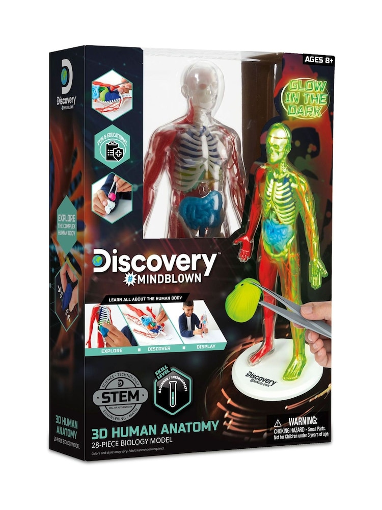 Discovery Mindblown 3D Human Anatomy Biology Model 28 Piece - Image 4 of 4