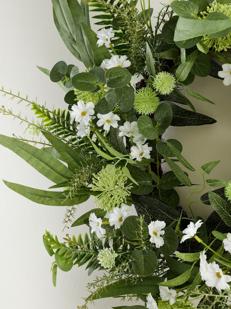 កម្រងផ្កា Daisy ផ្កានិទាឃរដូវ - Image 3 of 5