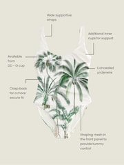 Cream/Green Palm Dd+ Wired Scoop Neck Tummy Control Swimsuit - Image 4 of 5