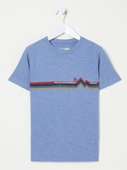 FatFace Blue Bike Stripe T-Shirt - Image 5 of 5