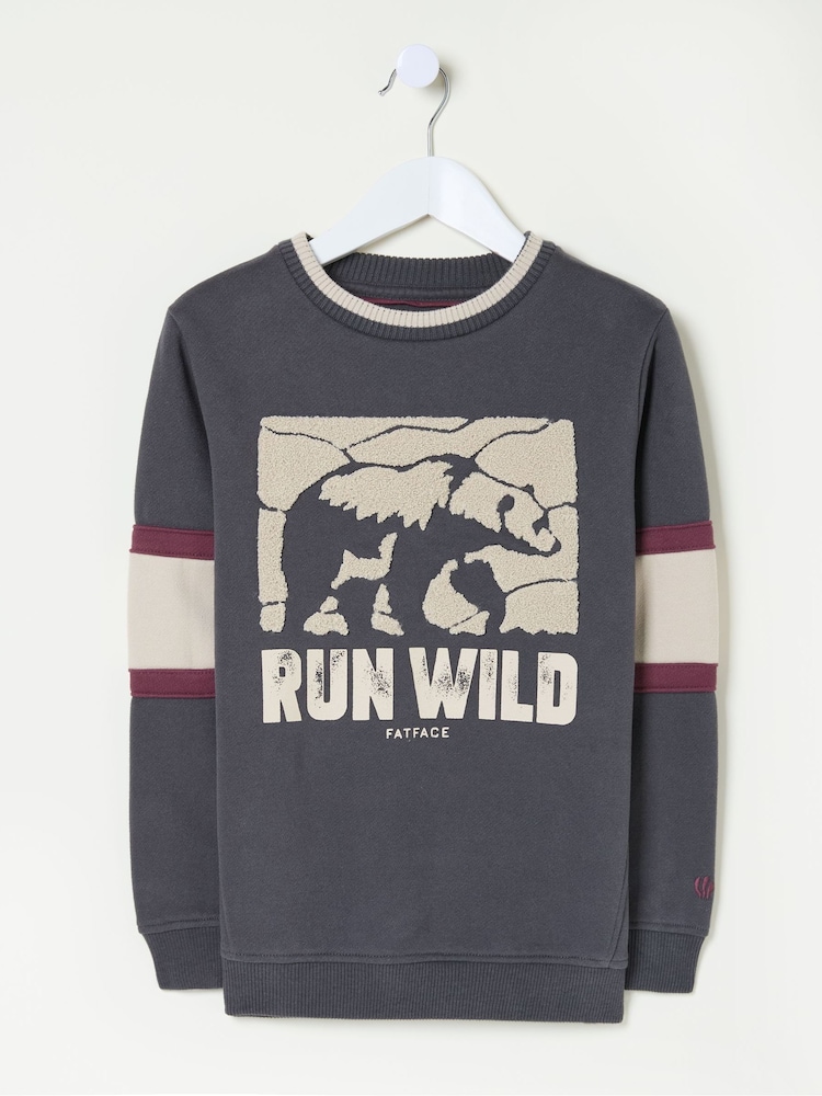 FatFace Grey Run Wild Sweatshirt - Image 5 of 5