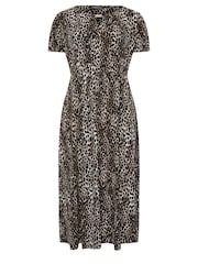 Evans Curve Leopard Print Midaxi Dress - Image 5 of 5