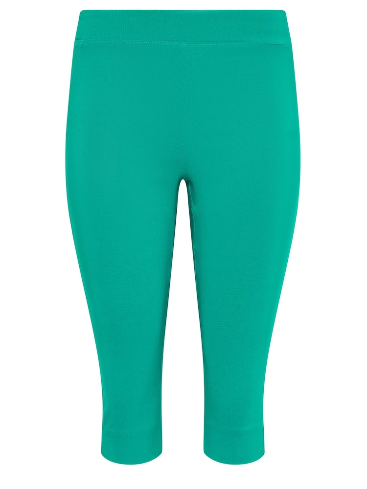 M&Co Green Petite Cropped Bengaline Trousers - Image 4 of 4