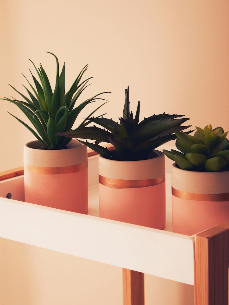 Interiors by Premier Pink Fiori Succulents Set of 3 - Image 2 of 6 Interiors by Premier Pink Fiori Succulents Set of 3 - Image 2 of 6