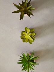 Interiors by Premier Pink Fiori Succulents Set of 3 - Image 5 of 6
