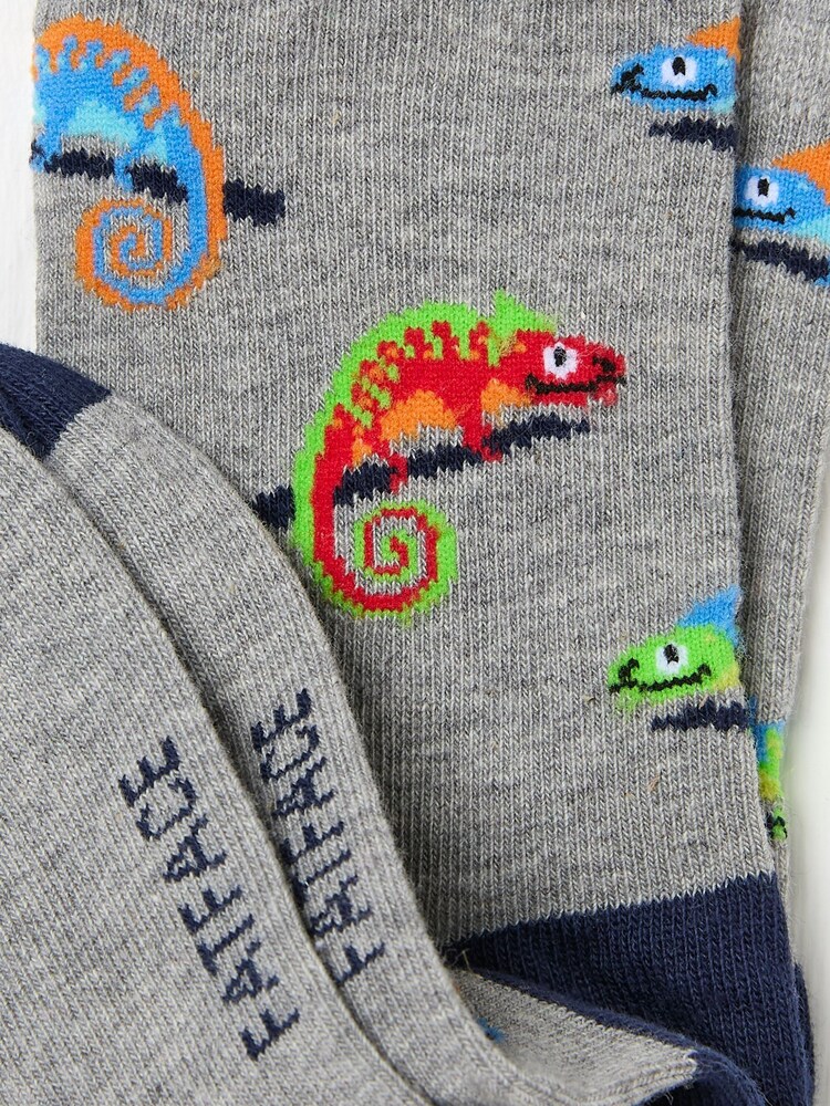 FatFace Grey Chameleon Socks 1 Pack - Image 2 of 2