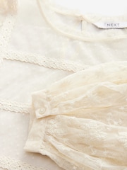 Cream Sheer Lace High Neck Blouse - Image 5 of 6