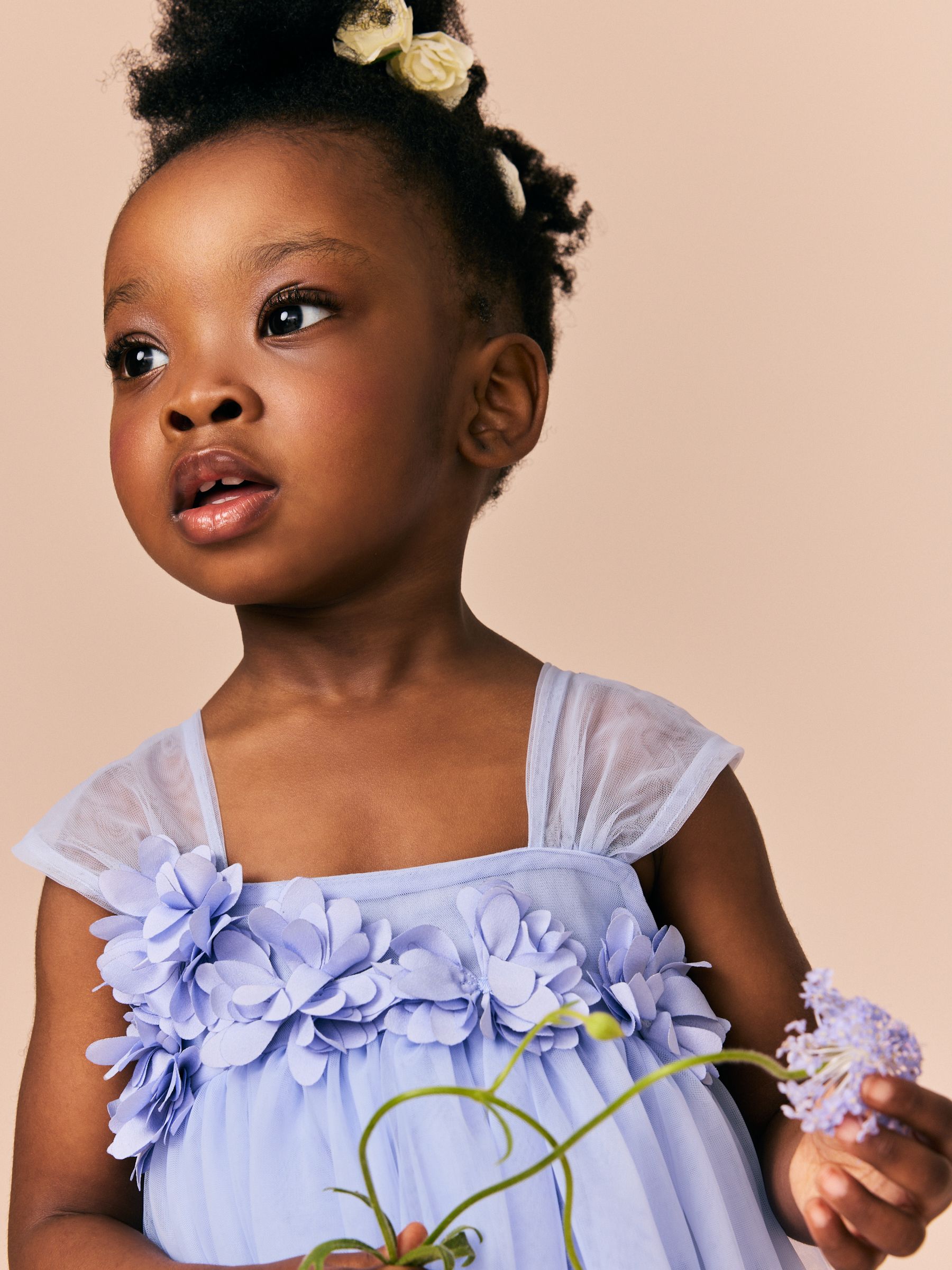 Buy Blue Sleeveless Flower Mesh Dress (3mths-7yrs) from Next USA