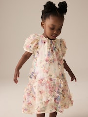 Multi Floral Mesh Party Dress (3mths-7yrs) - Image 1 of 8