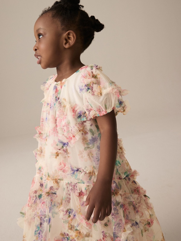 Multi Floral Mesh Party Dress (3mths-7yrs) - Image 4 of 8