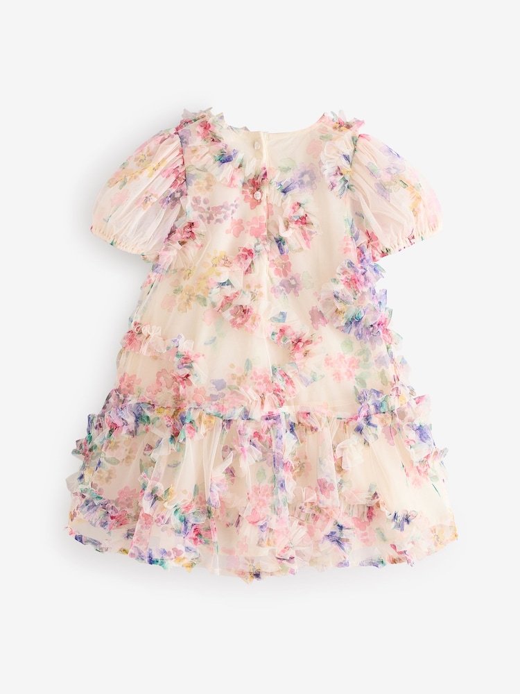 Multi Floral Mesh Party Dress (3mths-7yrs) - Image 6 of 8