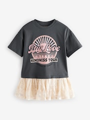 Charcoal Grey Short Sleeve Mesh Dress (3mths-7yrs) - Image 4 of 8