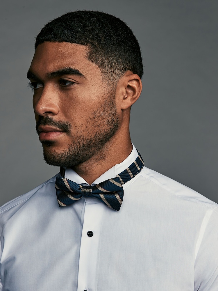 Navy Blue/Neutral Brown Stripe Design Bow Tie - Image 1 of 5