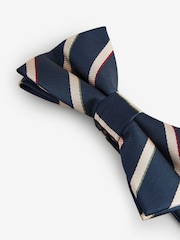 Navy Blue/Neutral Brown Stripe Design Bow Tie - Image 4 of 5