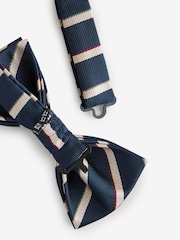 Navy Blue/Neutral Brown Stripe Design Bow Tie - Image 5 of 5