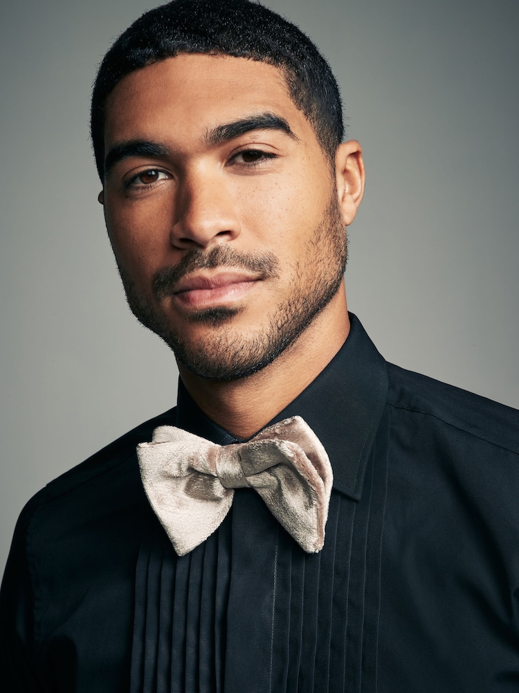 Champagne Gold Velvet Bow Tie - Image 1 of 6