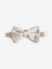 Champagne Gold Velvet Bow Tie - Image 3 of 6