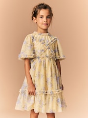Yellow Floral Cut Out Mesh Printed Occasion Dress (3-16yrs) - Image 2 of 9