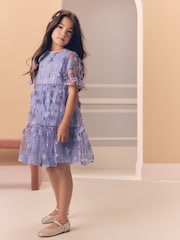 Blue Mesh Flower Sequin Party Dress (3-16yrs) - Image 1 of 4