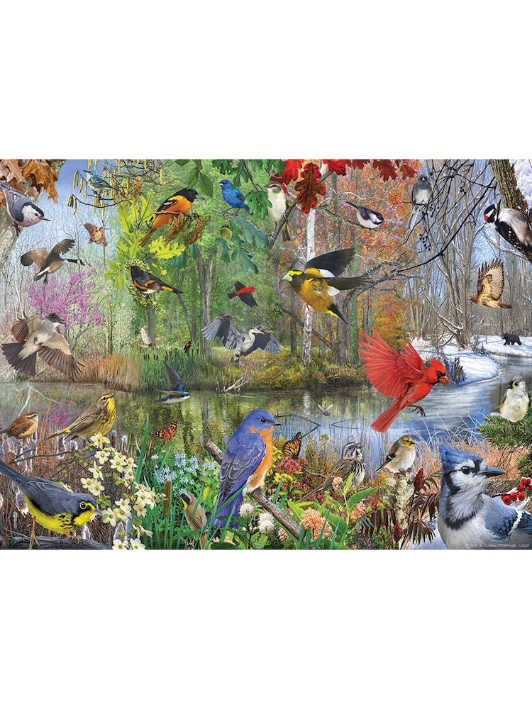 Cheatwell Games Birds of the Season Jigsaw Puzzle 1000 Piece - Image 4 of 4
