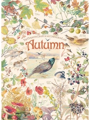 Cheatwell Games Country Diary Autumn Jigsaw Puzzle 1000 Piece - Image 3 of 4