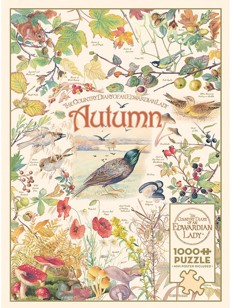 Cheatwell Games Country Diary Autumn Jigsaw Puzzle 1000 Piece - Image 4 of 4