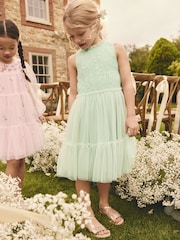 Sage Green Tiered Mesh & Lace Flower Girl Dress (3-16yrs) - Image 1 of 8