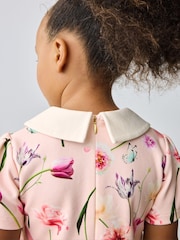 Baker by Ted Baker Pink Floral Collared Ponte Dress - Image 4 of 11