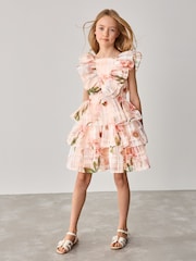 Baker by Ted Baker Floral Burnout Frill Tier Dress - Image 1 of 14