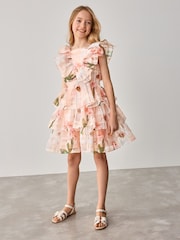 Baker by Ted Baker Floral Burnout Frill Tier Dress - Image 5 of 14