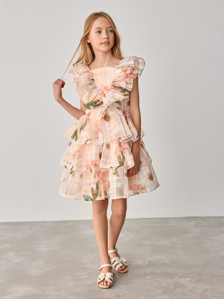 Baker by Ted Baker Floral Burnout Frill Tier Dress - Image 6 of 14