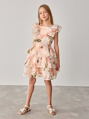 Baker by Ted Baker Floral Burnout Frill Tier Dress - Image 7 of 14