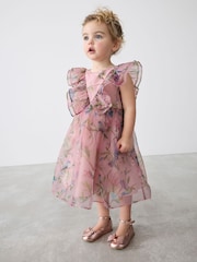 Baker by Ted Baker Pink Floral Printed Organza Dress - Image 1 of 8