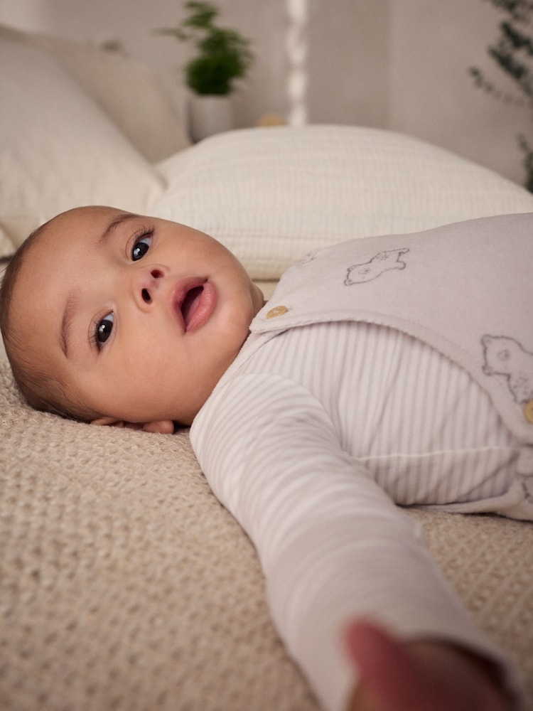 Oso gris - Conjunto de peto y body de velour (0 meses-2 años) - Imagen 11 de 11