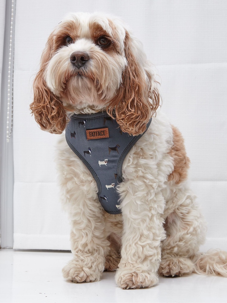 FatFace Grey Dogs Medium Harness - Image 1 of 1