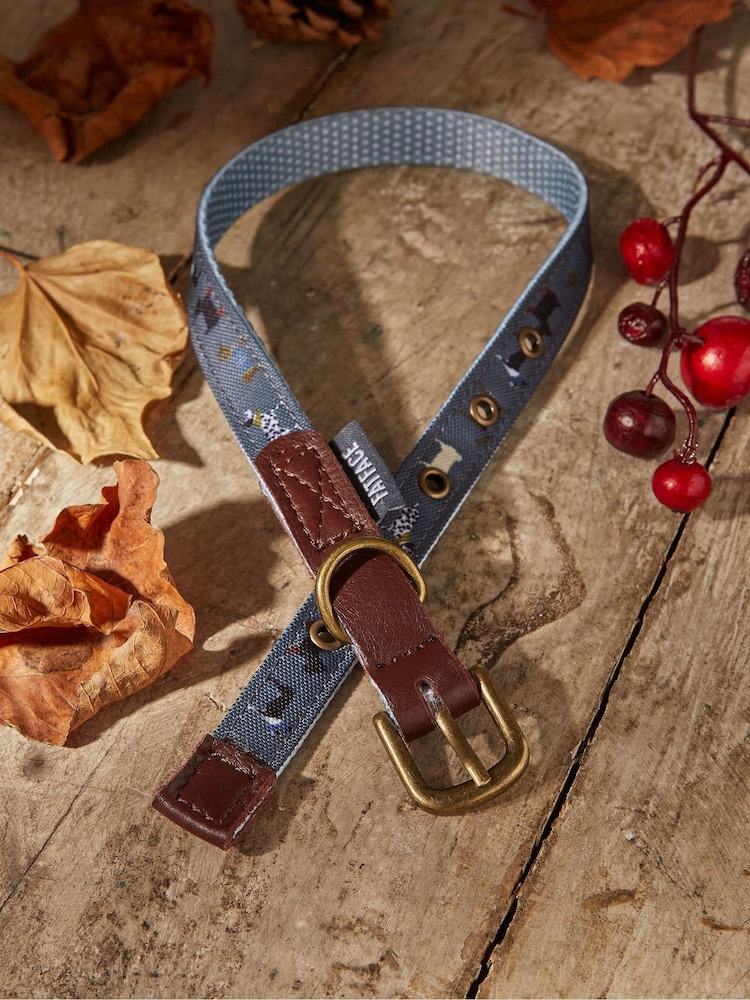 FatFace Grey Dogs Small Collar - Image 1 of 1
