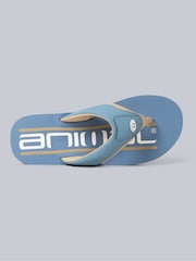 Animal Pale Blue Mens Jekyl Flip Flops - Image 2 of 5