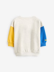 Grey Crew Neck Sweatshirt (3mths-7yrs) - Image 2 of 4